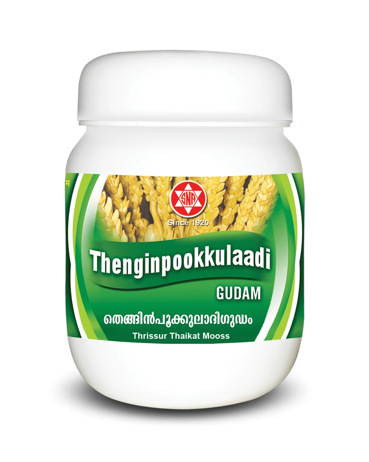 SNA Tenginpookulaadigudam Leham